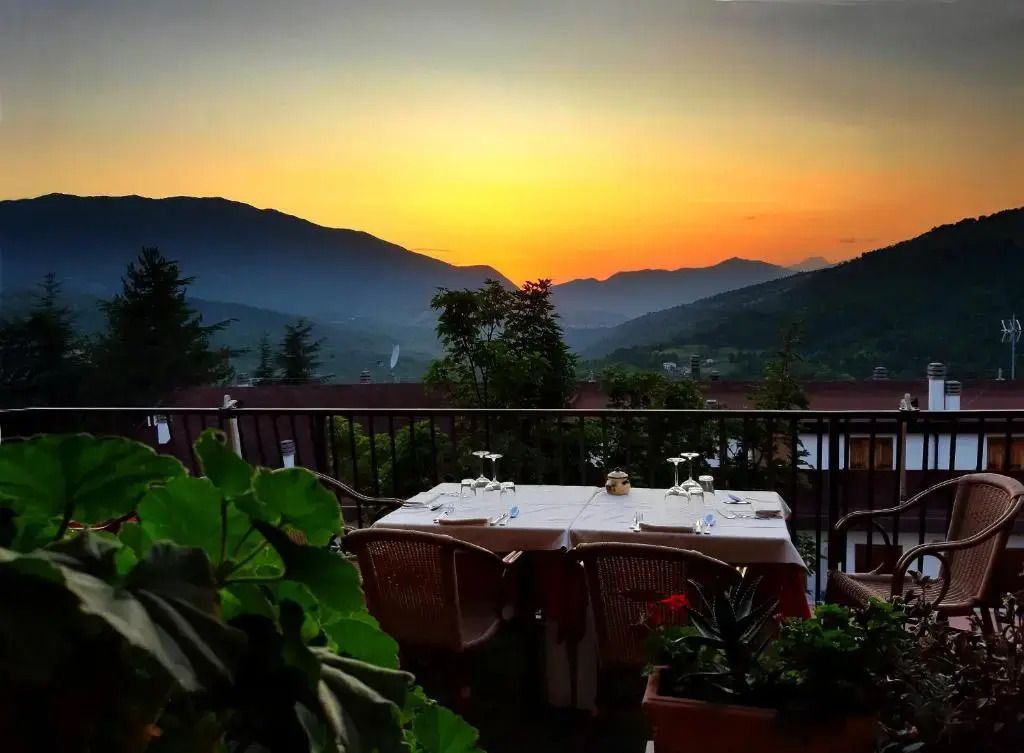 هوتل سيركوني