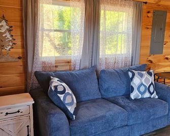 NEW Cozy 1-bedroom tiny house in the beautiful Hiawassee, Georgia Mountains. - Hiawassee - Living room