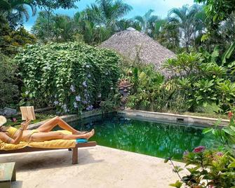 Casa Picaflor - Las Terrenas - Piscina