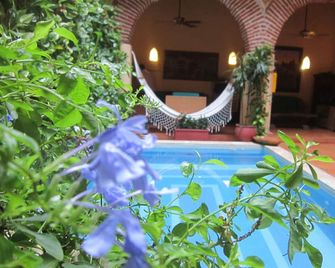 Casa India Catalina - Cartagena - Zwembad