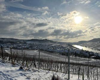 Double Room Classic - Winery & Guesthouse Peace - Nittel - Außenansicht