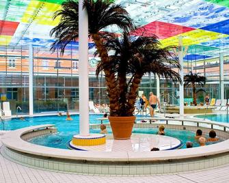埃萊尼派克酒店 - 巴德埃爾斯特 - 巴德埃爾斯特 - 游泳池
