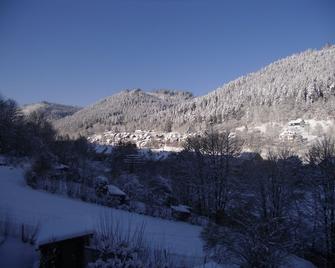 Small cozy apartment with terrace, grill and smoking area - Bad Wildbad - Extérieur