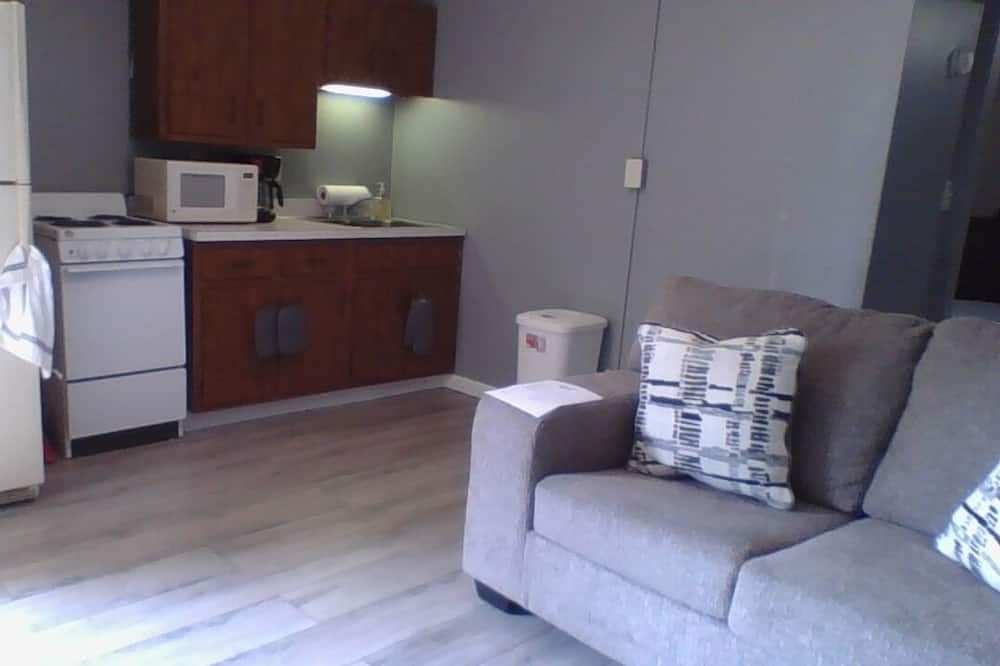 Living room view of Quiet and comfortable fully furnished 1 bedroom apartment.