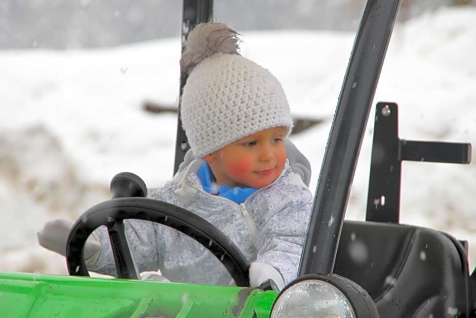 Hotel Mooserhof - Sesto