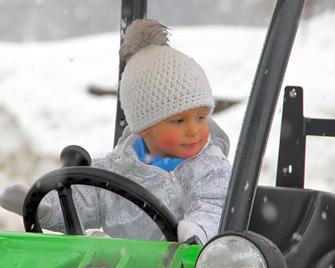 Hotel Mooserhof - Sesto