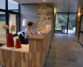 El Oasis Apart Hotel - San Martin de los Andes - Recepce