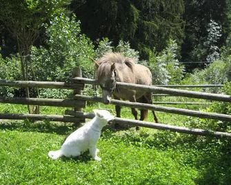 Hotel Mair Am Bach - Bressanone/Brixen