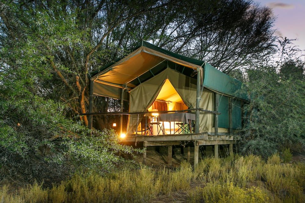 Chandelier Game Lodge - Oudtshoorn - Gebouw