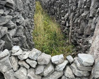 Wild Honey Inn - Lisdoonvarna - Outdoor view