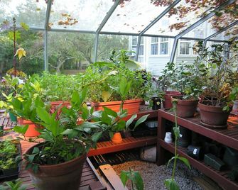Delano Homestead Bed & Breakfast - Fairhaven - Outdoor view