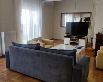Friendly central apartment! Best choice for trips or business purposes! - Larissa - Wohnzimmer