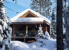 Wolf Point Cabin - Remote Access Retreat - Ely - Building