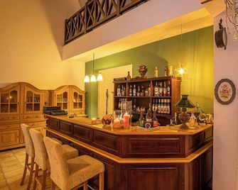 Pensiunea Sibiel - Sibiel - Bar