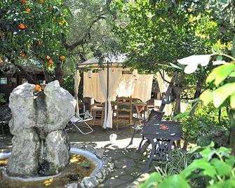 Casa Pontecorvi - Velletri - Patio
