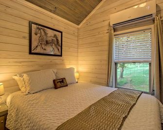 Little Red Roof, A Tiny House In The Ga Mountains! - Clayton - Bedroom