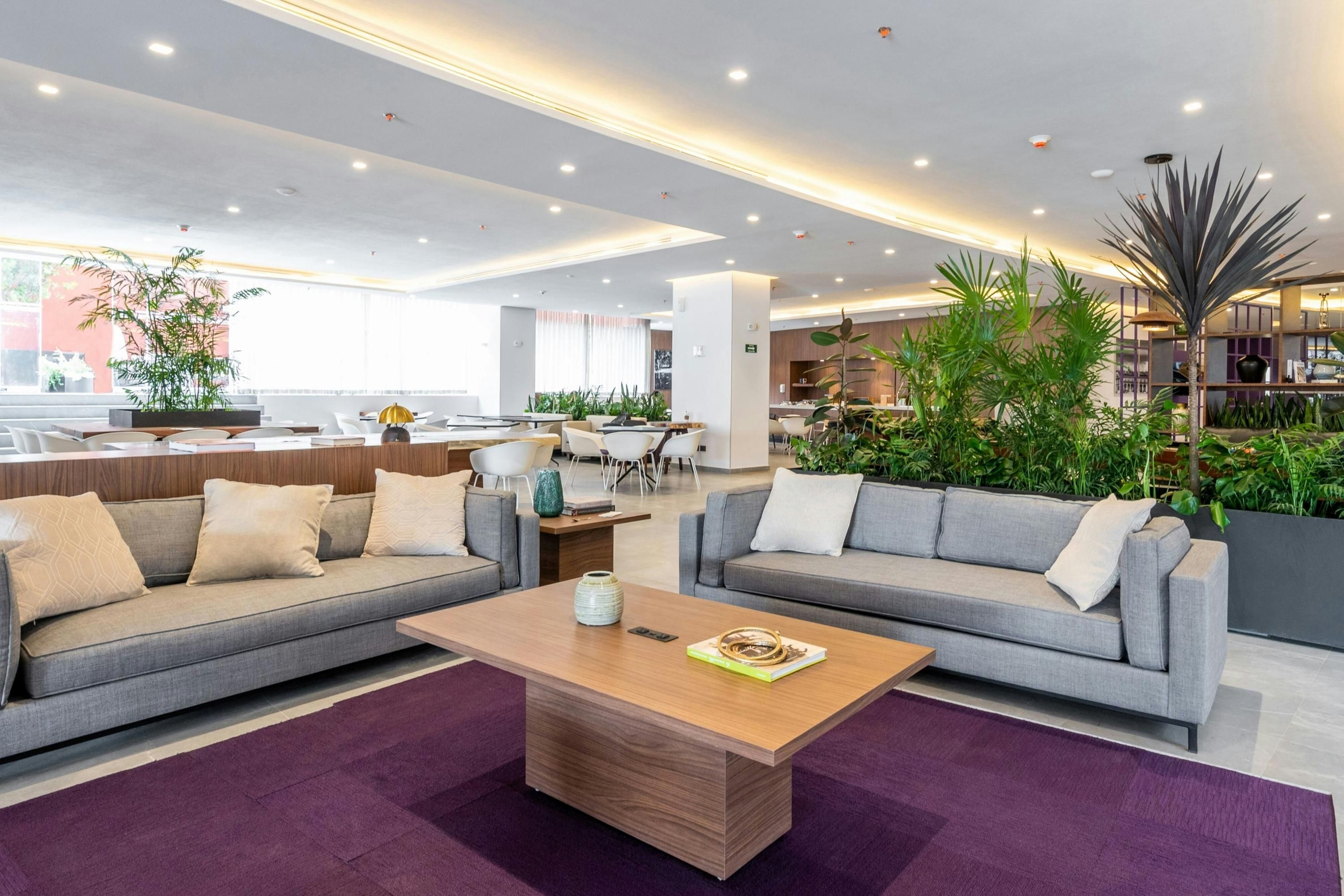 City Express Plus by Marriott San Luis Potosí - San Luis Potosí - Lounge