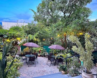 Helechos Hotel - Comayagua - Patio