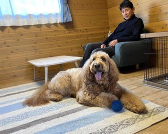 京都・舞鶴ふるるファームコテージ - 舞鶴市 - 寝室