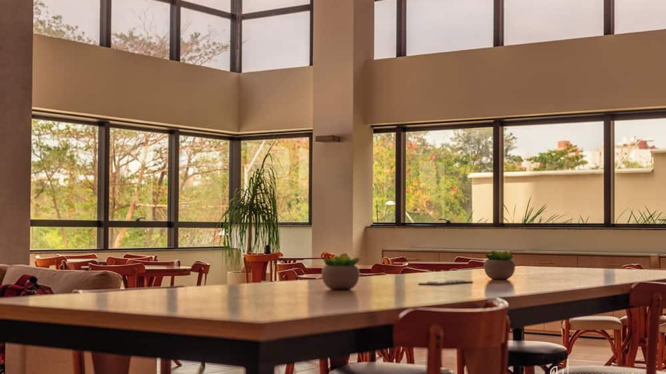 ريد أندريدي سلتس