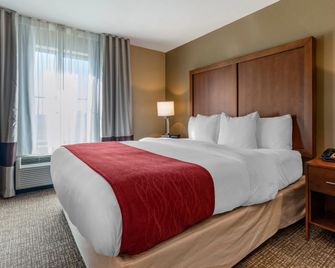 Comfort Inn & Suites Russellville I-40 - Russellville - Schlafzimmer