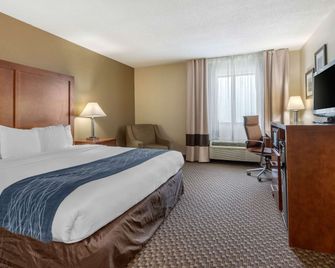 Comfort Inn Indianapolis South - Indianapolis - Chambre