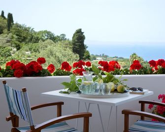 Riolinciano14 B&B - Anacapri - Balcony