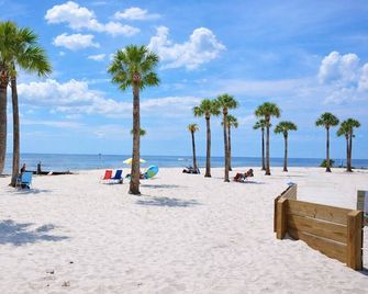 Salty Soul - Spring Hill - Beach