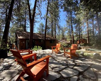 Wrightwood Cozy Cabin near Mt. High - Wrightwood - Patio