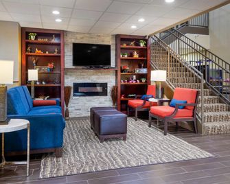 Comfort Inn & Suites Peachtree Corners - Norcross - Norcross - Recepción