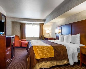 Comfort Inn Watsonville - Watsonville - Schlafzimmer