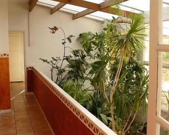 Hôtel Paradis - Bormes-les-Mimosas - Balkon