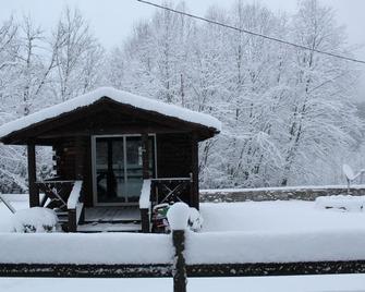 Maggie Valley Cabin off the Blue Ridge Pkwy. - Maggie Valley