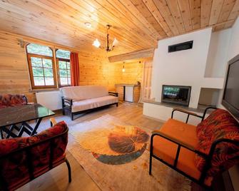 Abant Ilbey Dag Evi - Bolu - Wohnzimmer