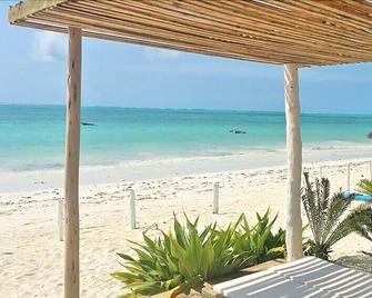 Oceanfront Villa Zanzibar - Bwejuu - Beach