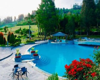 Grand Mutiara Hotel - Berastagi - Pool