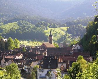 Ferienwohnung am Hauskopf - Oppenau - Außenansicht