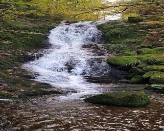 Chalet in Ventron near Ski Lift - Ventron - Extérieur