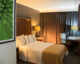 Holiday Inn Ciudad De Mexico-Trade Center By IHG - מקסיקו סיטי - חדר שינה