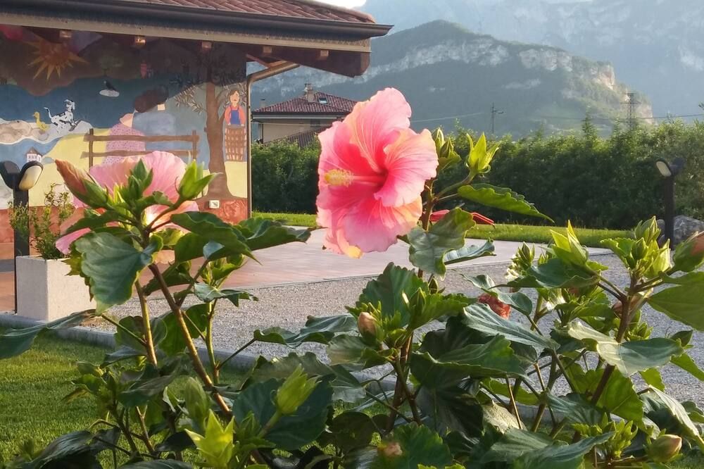 Agriturismo Trefrutti - Arco - Extérieur