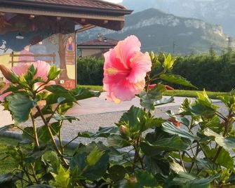 Agriturismo Trefrutti - Arco - Cảnh ngoài trời