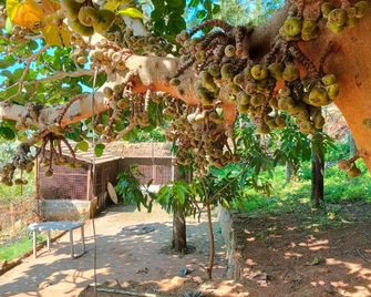 Oakvalley Resort Kotagiri - Ooty - Annehmlichkeit