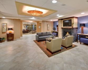 Holiday Inn Express & Suites Grand Island By IHG - Grand Island - Reception