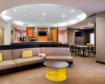 SpringHill Suites by Marriott Hartford Airport/Windsor Locks - Windsor Locks - Sala de estar