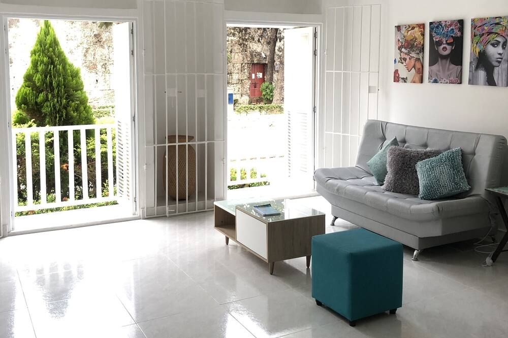 Amazing apt in the Historic Center! - קרטחנה דה אינדיאס - סלון