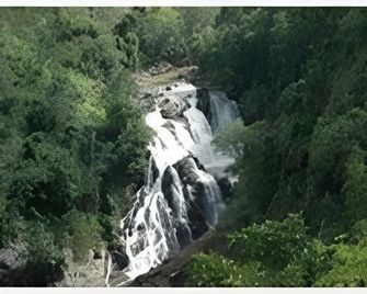 Hotel Maneck Residency - Ooty