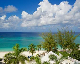 Palm Heights - North Side - Playa