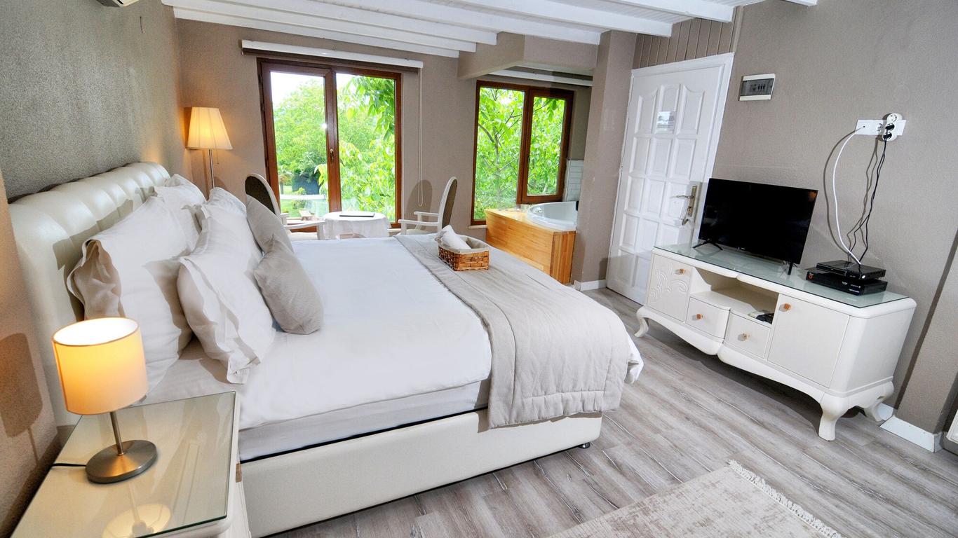 بياز إيف أجفا - للبالغين فقط