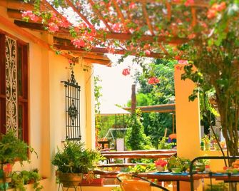 Serenity Lodge - Ica - Patio