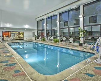 Hampton Inn Detroit/Belleville-Airport Area - Belleville - Pool